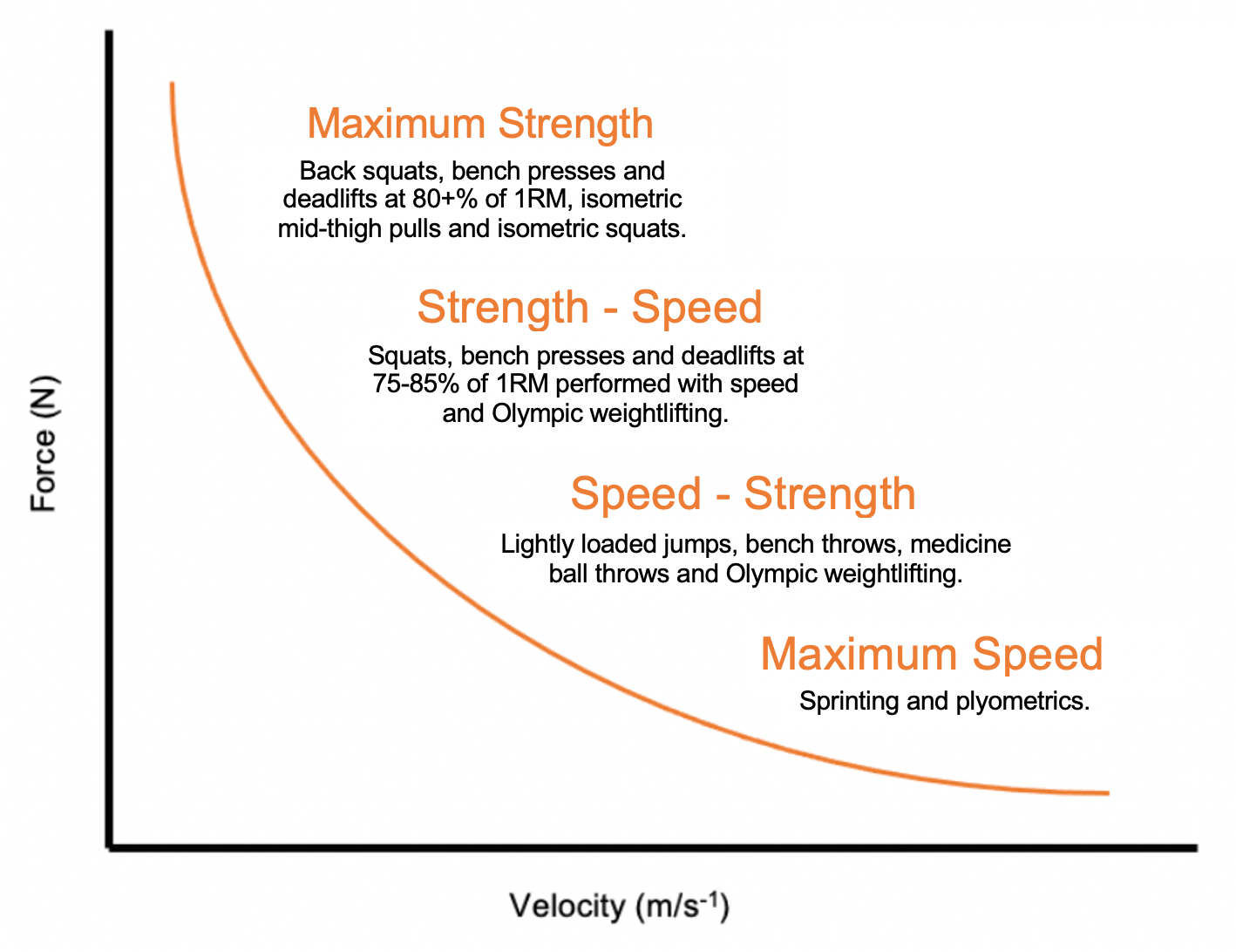 An Overview of the Force Velocity Curve and Its Significance in Performance and Potential
